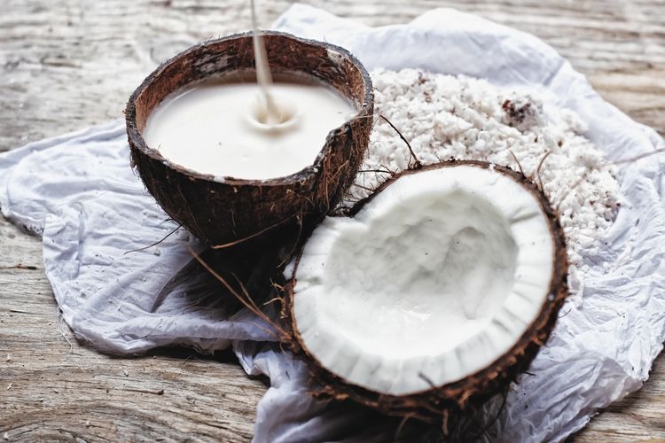 Potensi Kelapa untuk Program Pertanian Berkelanjutan